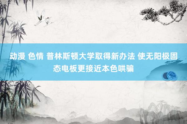 动漫 色情 普林斯顿大学取得新办法 使无阳极固态电板更接近本色哄骗